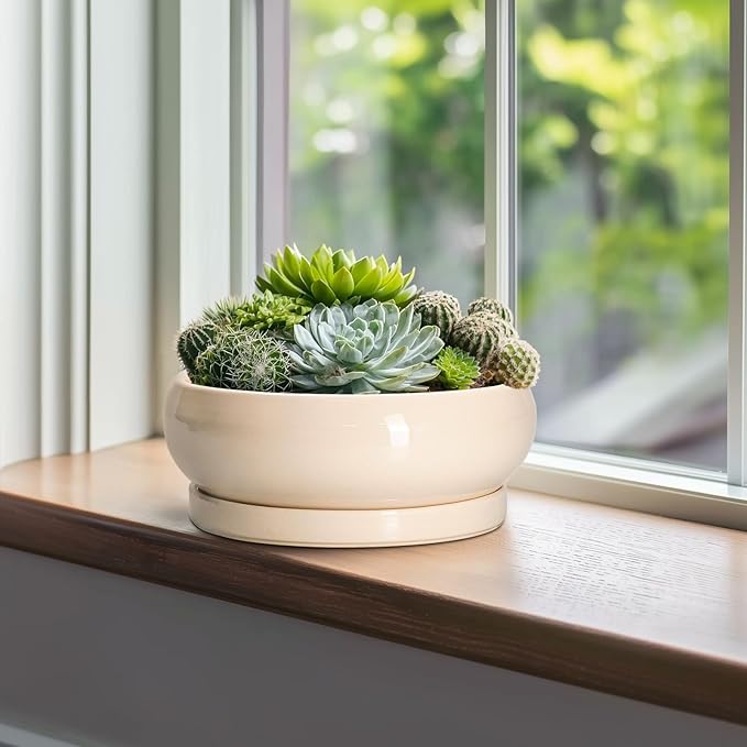 EPFamily Bonsai Pots - 10 Inch Ceramic Succulent Planters Indoor Outdoor, Bonsai Planters with Drainage Hole and Saucer, Round Shallow Planter, Bowl Planter, House Decor, Gifts for Plant Lover, Beige