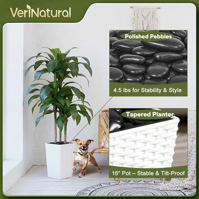 VeriNatural Artificial Dracaena Tree 5FT - Fake Tree with White Taper Planter & Pebbles - UV Resistant Faux Yucca Tropical Plant - Artificial Trees for Home Office Living Room Decor Indoor Outdoor