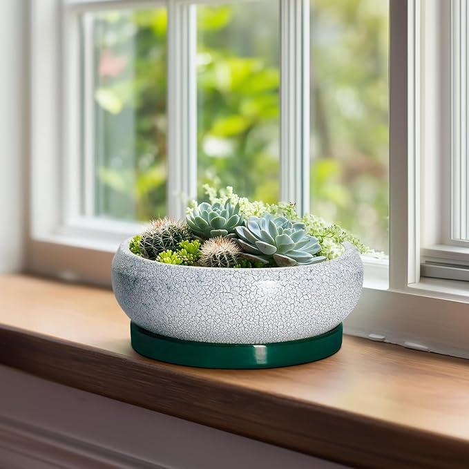 EPFamily Bonsai Tree Pots - 8 Inch Ceramic Succulent Pot with Drainage Hole and Tray, Bonsai Pots, Shallow Planters for Indoor Outdoor, Round Planter Bowl, House Decor, Gifts for Plant Lovers, Green
