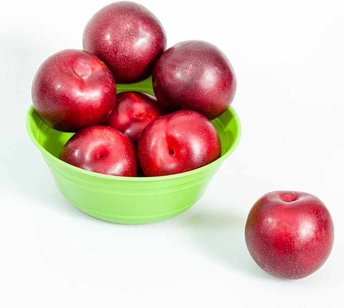 Santa Rosa Plum Tree 4-5ft