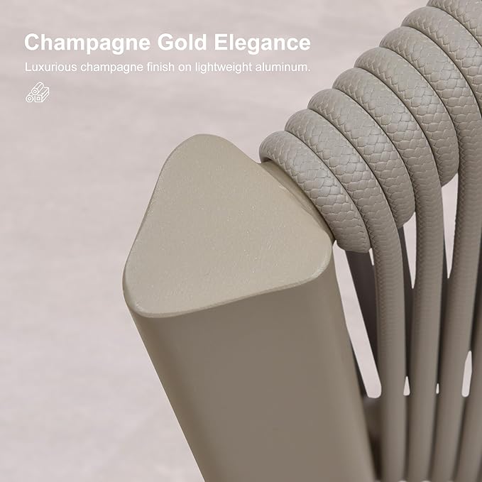 PURPLE LEAF 2 Pieces Outdoor Dining Chair All-Weather Wicker Aluminum Frame Patio Dining Chair for Lawn Garden Backyard Deck with Cushion, Champagne