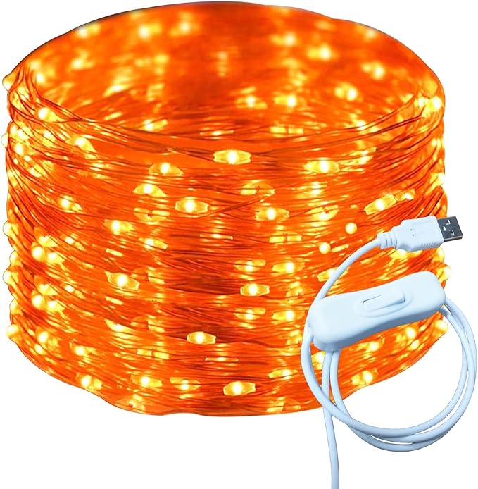RUICHEN Silver Wire 66 Ft 200 LED USB Fairy String Lights with On/Off Switch (Orange)