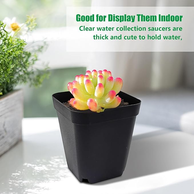 RooTrimmer Square Nursery Pots 3" 120Pcs Deep Succulent Plastic Pots Small Flower Planter Seeds Starter Germination Pots with Drainage (Black,2.7Inches,120Pcs)