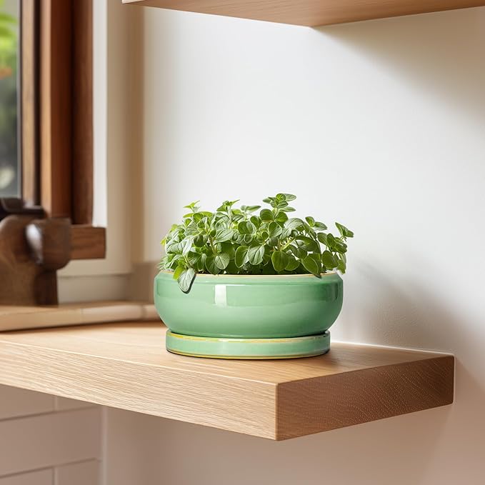 Succulent Pots 6 Inch - Ceramic Bonsai Pots for Indoor Outdoor, Shallow Ceramic Planters with Drainage Hole and Saucer, Round Small Bonsai Tree Pot, Home Decor, Plant Lover Gift, Light Green