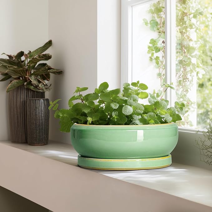EPFamily Large Bonsai Pots - 13 Inch Ceramic Succulent Pots for Indoor Outdoor, Ceramic Planter with Drainage Hole and Saucer, Shallow Round Planter, Garden Decor, Gifts for Women Men, Light Green