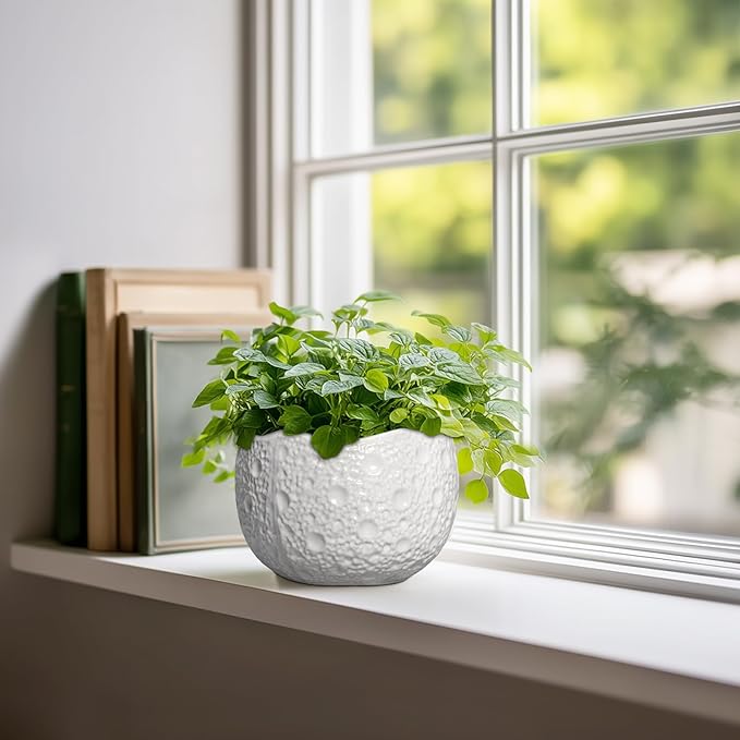 Thirtypot Ceramic Pots for Plants - 6 Inch Plant Pot for Indoor Outdoor, Decorative Orchid Pots with Drainage Hole, Unique Round Modern Planters, Home Decor, Gifts for Plant Lovers, White