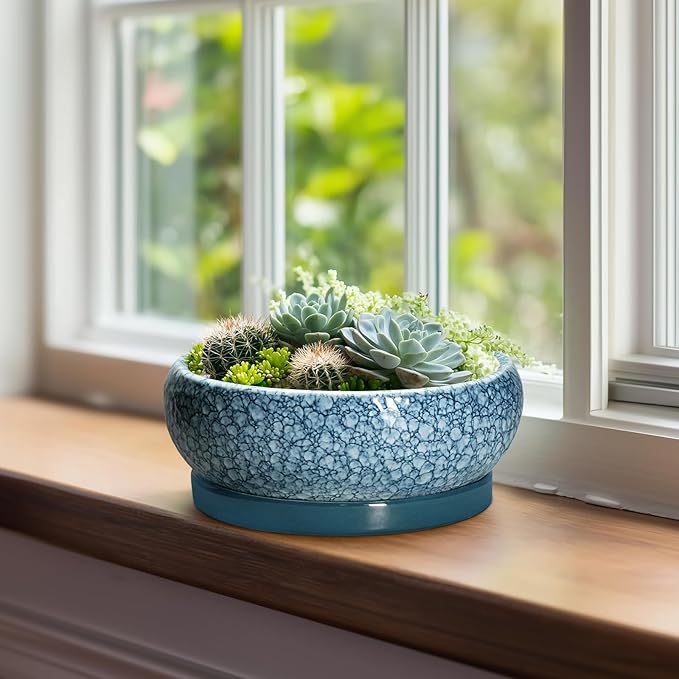 EPFamily Ceramic Bonsai Pots - 8 Inch Succulent Planters Indoor Outdoor, Bonsai Planters with Drainage Hole and Saucer, Shallow Planter, Round Planter Bowl, Home Decor, Gifts for Plant Lovers, Blue