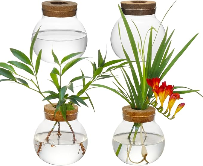 Plant Propagation Station - Glass Terrarium Vase Set of 4 for Hydroponic Plants, Desktop Glass Planter,Centerpiece Office,Door Home Garden Decor,Sizes of About 2 Plants,Office Decor Gift Idea Cu