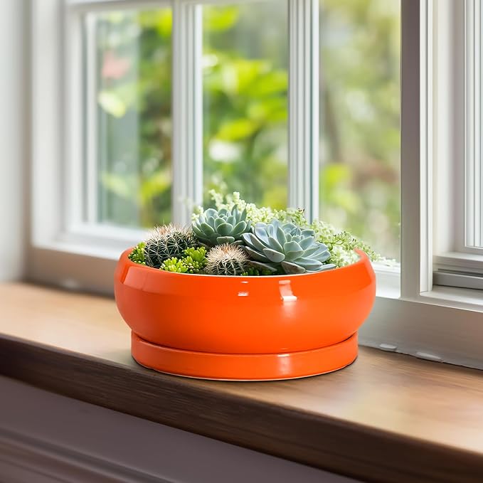 EPFamily Bonsai Pots 8 Inch - Ceramic Succulent Planter with Drainage Hole and Saucer, Shallow Plant Pot Indoor Outdoor, Round Bowl Planter, Bonsai Tree Pots, Table Decor, Plant Lover Gift, Orange
