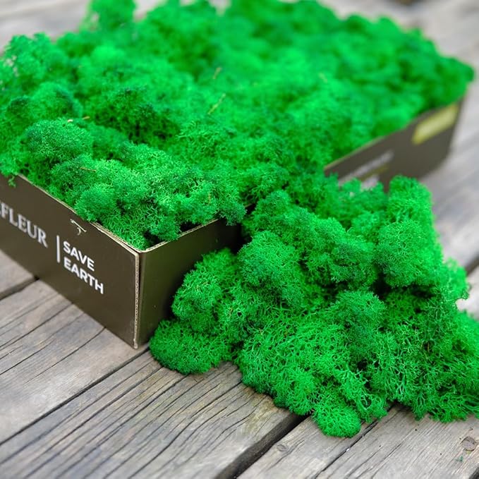 prefleur Preserved Reindeer Moss Natural Green DIY Kit Gardenning Art Wall Decor Florist Decor Easter Table Decor Wedding