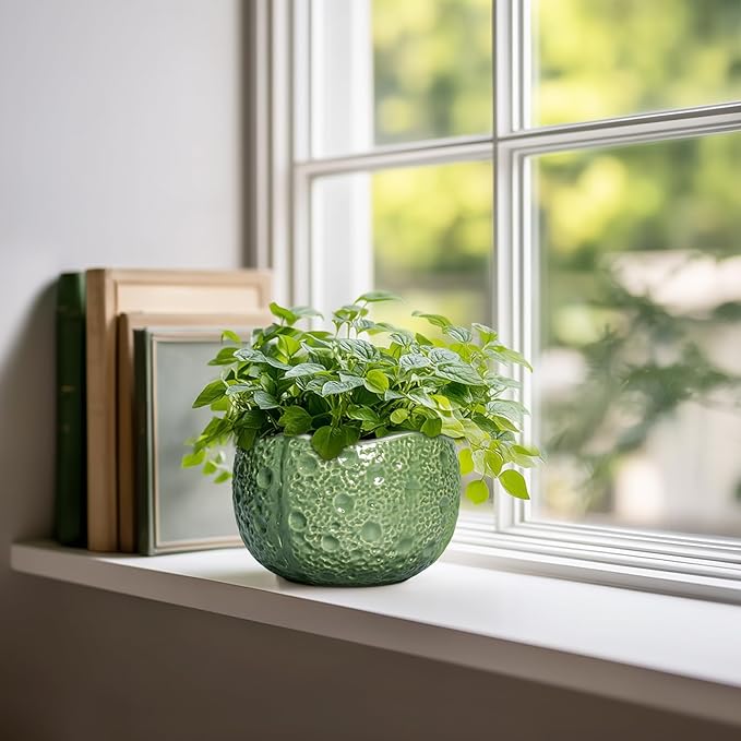 Thirtypot 6 Inch Plant Pot - Orchid Pot with Drainage Hole, Ceramic Planter for Indoor Outdoor, Decorative Plant Pots, Modern Round Unique Flower Pots, Living Room Decor, Gifts for Women Men, Green