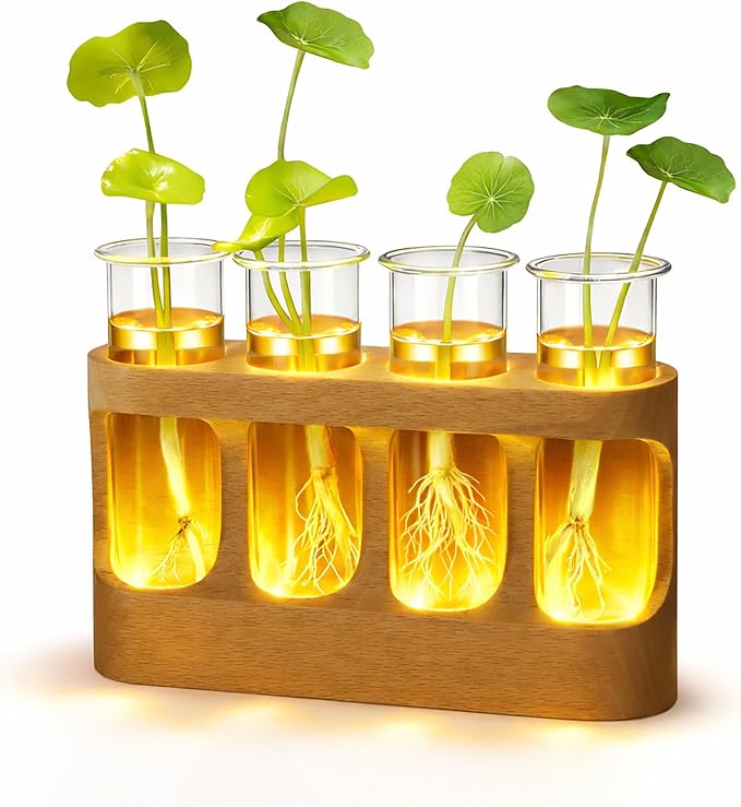 Plant Propagation Station with LED Light – Beech Wood & Glass Desk Decor, Indoor Terrarium with Wooden Stand, Plant Gifts for Women Plant Lovers
