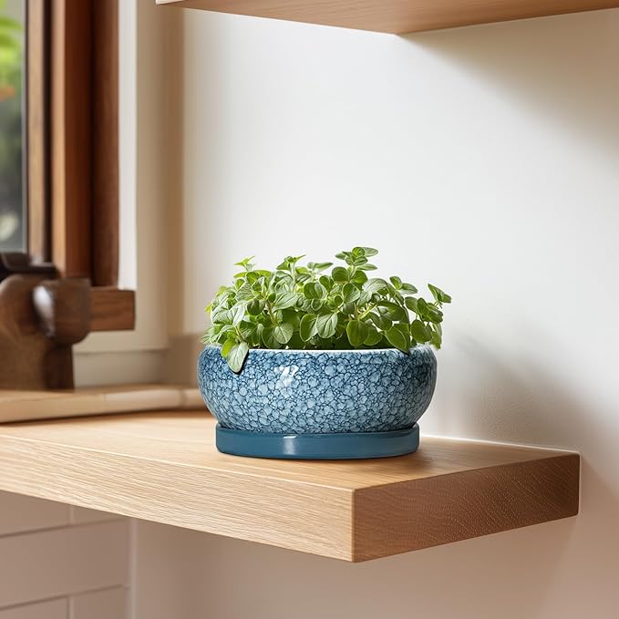 EPFamily Succulent Pots 6 Inch - Ceramic Bonsai Pots with Drainage Hole and Saucer, Shallow Planters for Indoor Outdoor, Small Bonsai Pot, Round Planter Bowl, Porch Room Decor, Plant Lover Gift, Blue