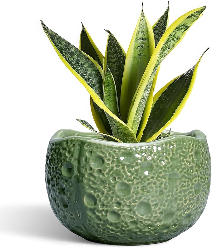 Thirtypot 8 Inch Plant Pot - Ceramic Pots for Plants with Drainage Hole, Round Decorative Plant Pots for Indoor Outdoor, Modern Unique Flower Pot, Office Decor, Garden Gifts, Green