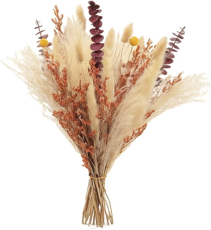 Musunny Dried Flower Bouquet,17" Fall Dried Flowers for Vase,Boho Pampas Grass Decor for Farhouse Home Room Office Decoration (Red)