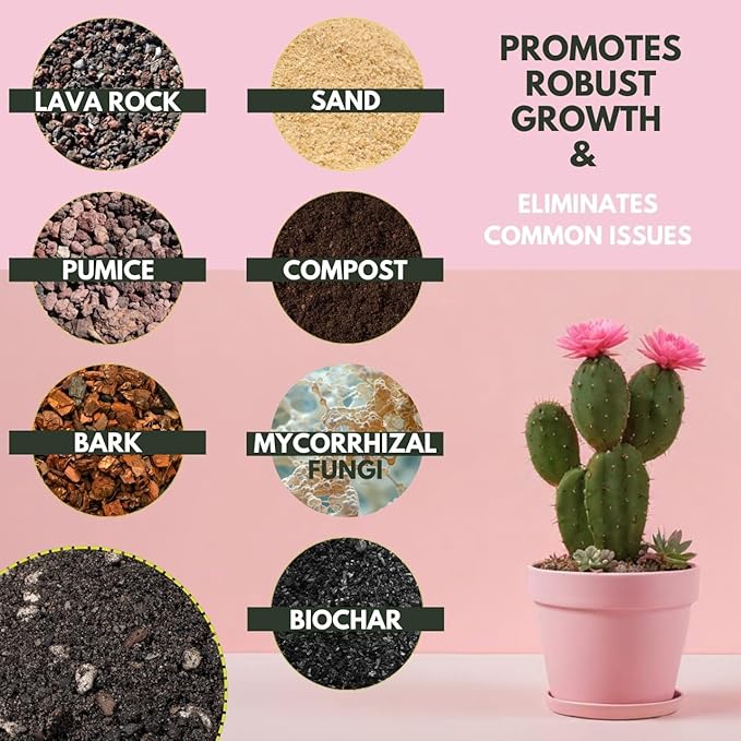 The Soil Sage Cactus & Succulent Potting Mix - 5 Dry Quarts Premium Gritty Fast Draining Soilless Potting Mix for Cactus, Succulents, Jade, Aloe Vera - Healthy Roots - Made in USA