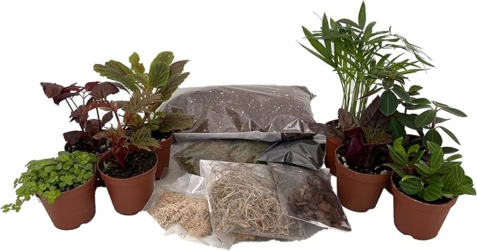 Hirt's Terrarium Kit with 8 Terrarium Plants in 2" Pots
