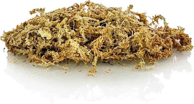 Gardenera Premium New Zealand Sphagnum Moss - Organic Hand Mixed Long Fibered Sphagnum Moss Orchid - 3 Quart