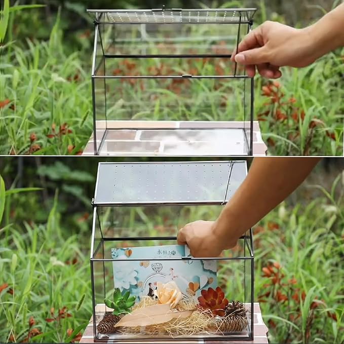 HighFree Geometric Glass Terrarium with Acrylic Lid, House Shape Black Terrarium with Breathing Holes for Snails, Succulent, Cacti, Air Plants, 10.3x8.3x5.9 inch (Terrarium Only)