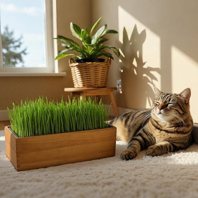 Wooden Cat Grass Planter,Cat Grass Kit for Indoor Cats with Anti-Digging Grid, Potting Soil Disks,Watering Bottle and Removable Plastic Liner,Wheat Grass Growing Pot