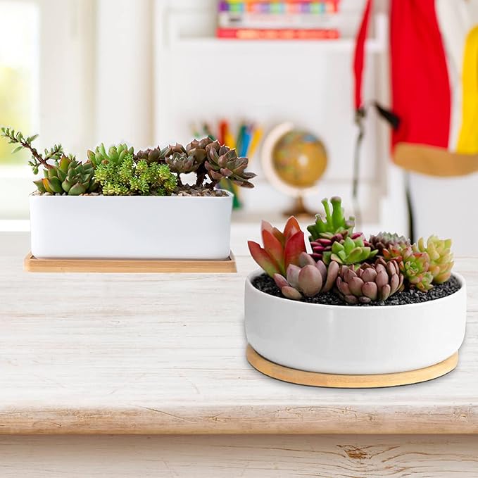 ARVINKEY White Ceramic Succulent Plant Pots, 1 Rectangular Flower Pot + 1 Round Planter, Set of 2 Small Cactus Container, Bonsai Pots, Succulent Pots with Drainage Hole& Bamboo Tray (No Plant)