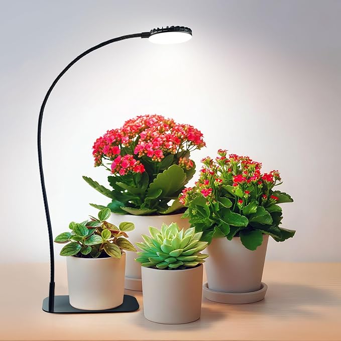SGLEDs Desktop Plant Grow Light,12w Growing Lamps High Ppfd,Full Spectrum Desk Growth Light with Automatic Timer,4 Dimmable Levels（Black