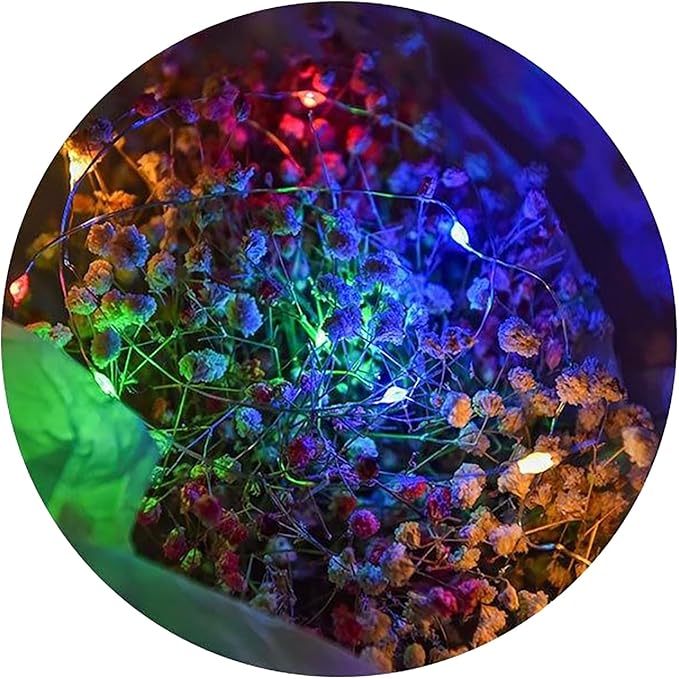 Sokelinn-six 2m 20 LEDs Fairy String Lights, USB Powered String Light for Desk Office Christmas Tree Party Decoration (Multi-Colored, 5)