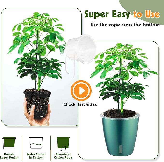 KvyusFlourish Self Watering Pots for Indoor Plants, 6-Pack 5'' Self Watering Planter with Drainage Holes, Small African Violet Pots with Water Indicator, Clear Wick Orchid Pot, Blue Gold