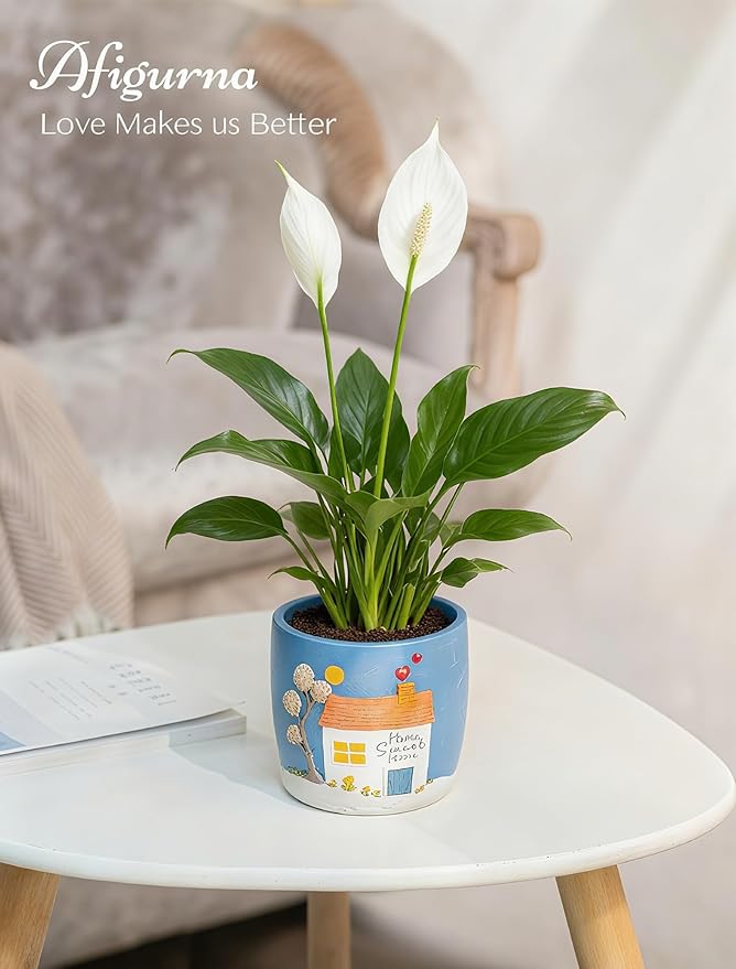Afigurna New Home Gift Ideas: Home Sweet Home Plant Gift for Plant Lover - 5.3in Hand-Painted 3D Art Planter - Gardening House Warming Gift for New Apartment Christmas