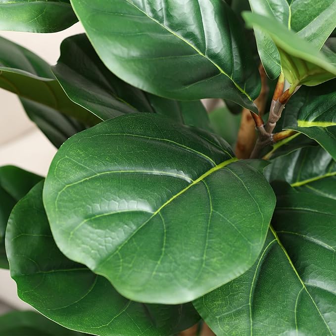 OAKRED Artificial Fiddle Leaf Fig Tree with White Planter, 6ft Tall Fake Tree with Natural Wood Trunk for Home Decor, Faux Ficus Tree Fake Moss for Indoor Office Living Room