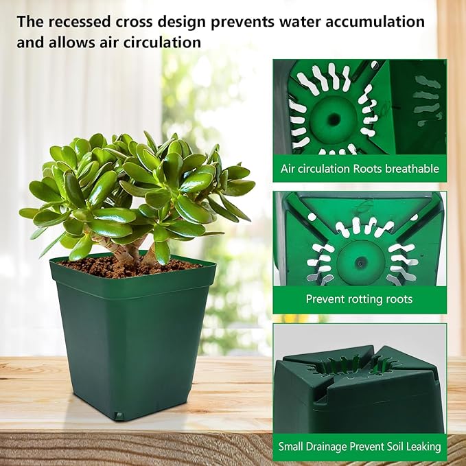 RooTrimmer Square Seedling Nursery Pots 3.15 Inches 100 Pcs for Small Succulents or Cacti Flower Plastic Pots Sturdy Reusable (Green, 3.14Inches,100Pcs)