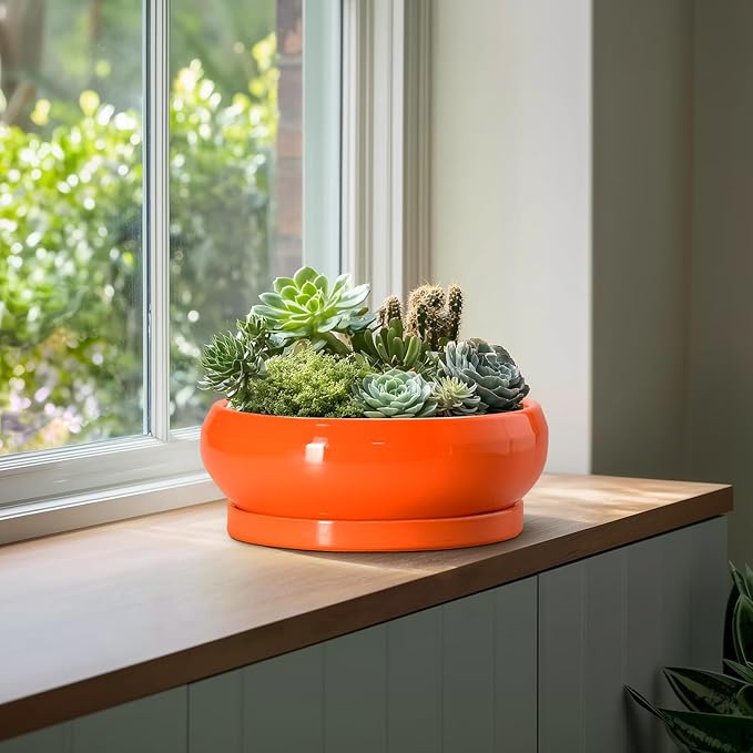 EPFamily Bonsai Pots - 13 Inch Ceramic Succulent Pots with Drainage Hole and Saucer, Shallow Planter for Indoor Outdoor, Bonsai Planters, Large Planter Bowl, Porch Decor, Gift for Plant Lover, Orange