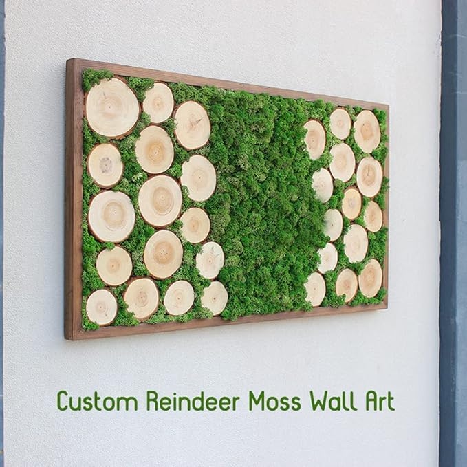 prefleur Preserved Reindeer Moss Natural Green DIY Kit Gardenning Art Wall Decor Florist Decor Easter Table Decor Wedding