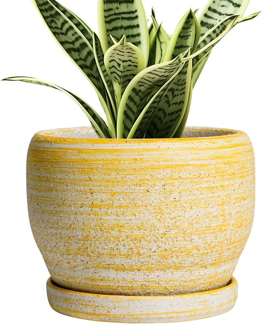 SQOWL Ceramic Planter - 6 Inch Plant Pot Indoor with Drainage Hole and Saucer, Decorative Ceramic Flower Pot Outdoor, Round Succulent Planters, Home Office Bedroom Decor, Birthday Gifts, Yellow