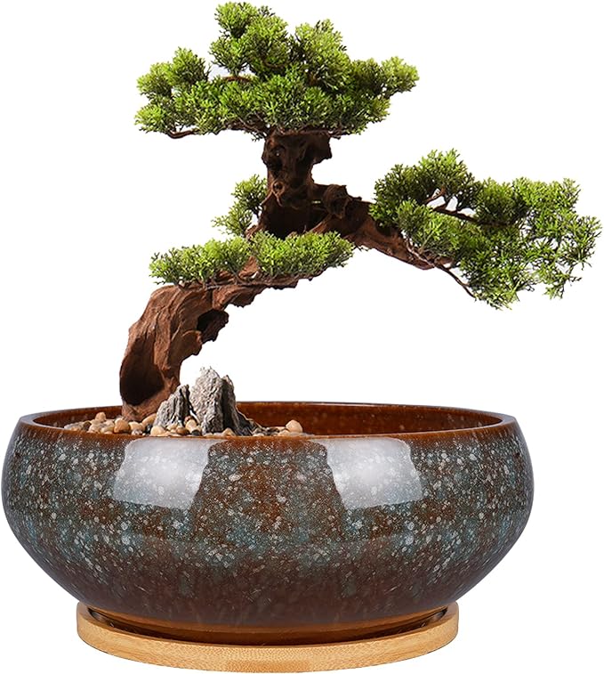 EPFamily 8 Inch Ceramic Bonsai Planter Pot, Glazed Shallow Succulent Planter with Drainage Hole and Bamboo Saucer for Indoor Plants, Green