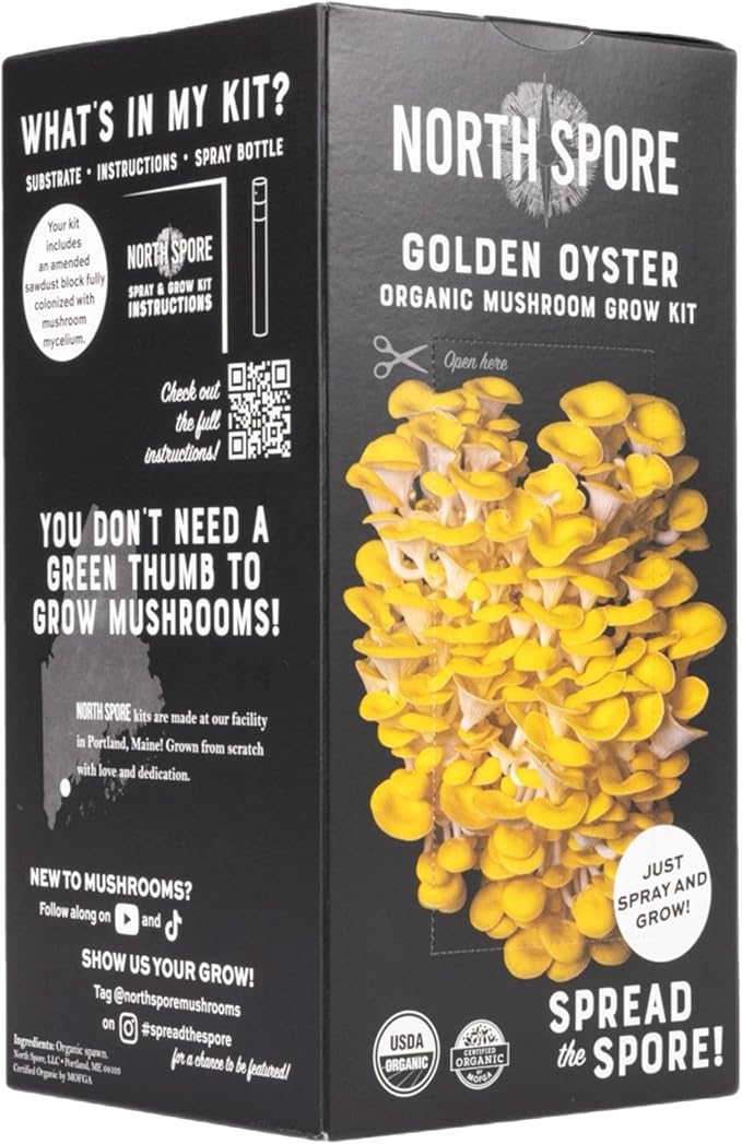 North Spore Organic Golden Oyster Mushroom Spray & Grow Kit (4 lbs) | USDA-Certified Organic, Non-GMO, Beginner-Friendly & Easy to Use | Handmade in Maine, USA
