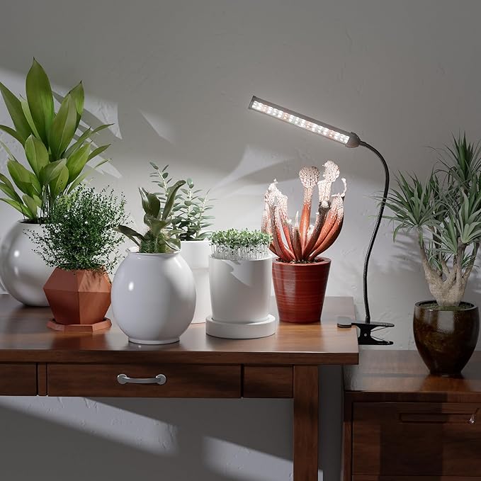 GooingTop Grow Light for Indoor Plants Growing,5000K White Full Spectrum Gooseneck Plant Lamp with Red Blue LED Clip Desk for Pot Plant Seed Starting,Dimmable with Auto Timer