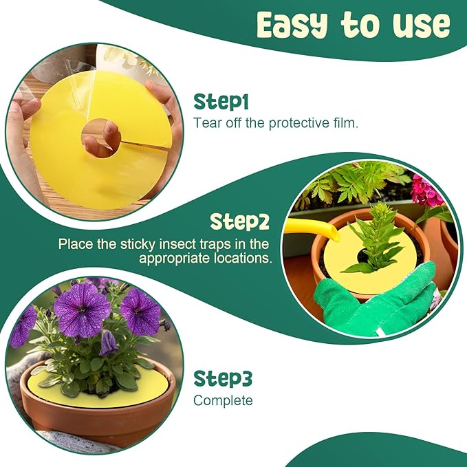 Mysora 24 Pcs Fruit Fly Traps Fungus Gnat Sticky Traps Yellow Round Ring for Pot Plants Indoor Outdoor Mosquito Flying Insects (M)