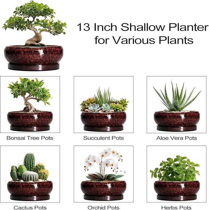 EPFamily Bonsai Pots with Drainage Hole - 13 Inch Ceramic Succulent Pots, Large Succulent Planter with Saucer, Shallow Planter Indoor Outdoor, Round Planter Bowl, Apartment Decor, Garden Gifts, Red