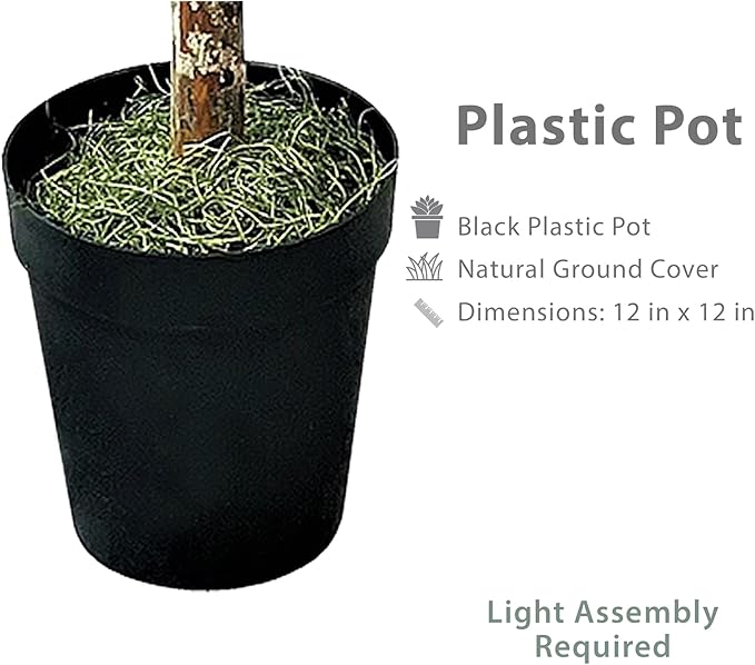 LCG Florals 8ft Artificial Ficus Tree in Black Plastic Pot - Real Wood Trunk, Preassembled, No Maintenance Indoor Faux Plant - Living Room, Home & Office Decor