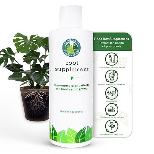 Fiddle Leaf Fig Essentials Bundle