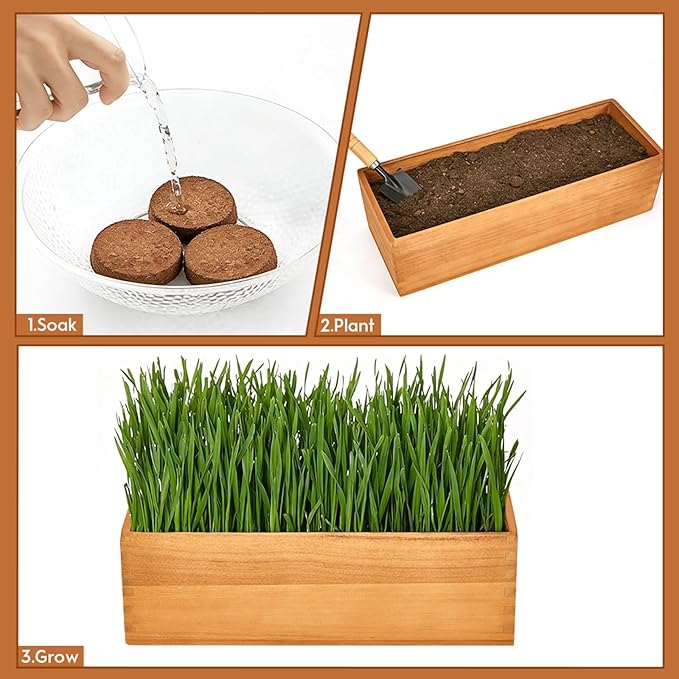 Wooden Cat Grass Planter,Cat Grass Kit for Indoor Cats with Anti-Digging Grid, Potting Soil Disks,Watering Bottle and Removable Plastic Liner,Wheat Grass Growing Pot