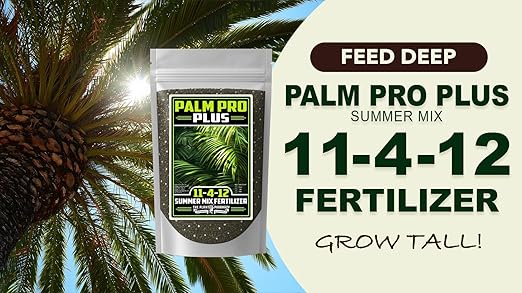 Fertilizer Commercial Grade | Palm Pro Plus Summer Mix 11-4-12 | 3 Pounds | Professional Tropical Palm Tree Feed | 3–4 Month Granular Slow Release Feed Delivery | Topdress Water in | Warm Season