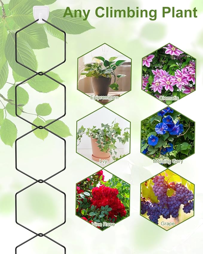 18 Pcs Garden Chain Trellis for Indoor Climbing Plants, Unique 6-Corner Plant Accessory with Hooks and Ties, Wall Trellis Plant Support for Hoyas, Ivy, Monstera Outdoor (Black)