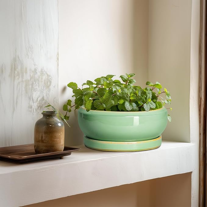 EPFamily Succulent Planters - 8 Inch Ceramic Bonsai Pots with Drainage Hole and Plant Tray, Round Planter for Indoor Outdoor Plants, Shallow Planter Bowl, Room Decor, Housewarming Gifts, Light Green