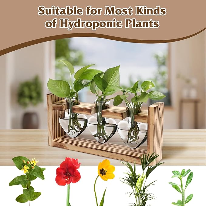 Zorpupoa Plant Propagation Station, Plant Terrarium with Wooden Stand, Tabletop Glass Planter Desktop Plants Propagation Vase for Hydroponics Plants - 3 Heart Shaped Vases
