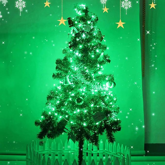 RUICHEN Silver Wire 33 Ft 100 LED USB Fairy String Lights with On/Off Switch (Green)