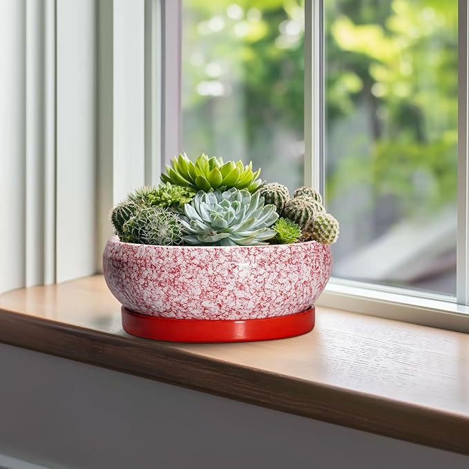 EPFamily Bonsai Pots 10 Inch - Ceramic Succulent Planters for Indoor Plants Outdoor, Succulent Pots with Drainage Hole and Tray, Round Shallow Planter, Bonsai Planter, Home Decor, Gardening Gift, Red