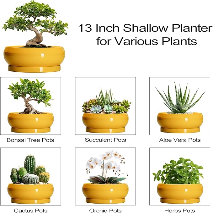 EPFamily Ceramic Bonsai Pots - 13 Inch Large Succulent Pots with Drainage Hole and Saucer, Bonsai Planter for Indoor Outdoor, Round Shallow Bowl Planter, Garden House Decor, Plant Lover Gifts, Yellow
