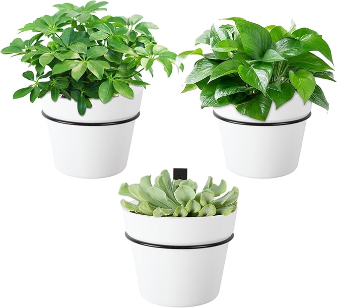 3 Set Hanging Planters Self Watering Plant Hangers for Indoor Outdoor Plants 6.3 Inch Wall Amount Flower Pots Basket with Drainage Hole DIY Room Patio Yard Decor(White)